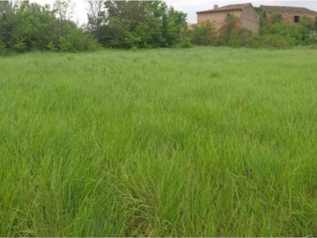 Terreno en venta en Comunidad de Calatayud, Aragón