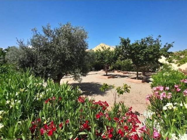 Terreno en venta en Munera, Castilla-La Mancha