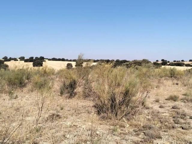 Terreno en venta en Villarrobledo, Castilla-La Mancha