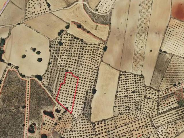 Terreno en venta en Munera, Castilla-La Mancha