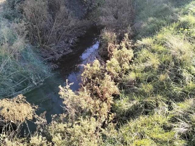 Terreno en venta en Munera, Castilla-La Mancha