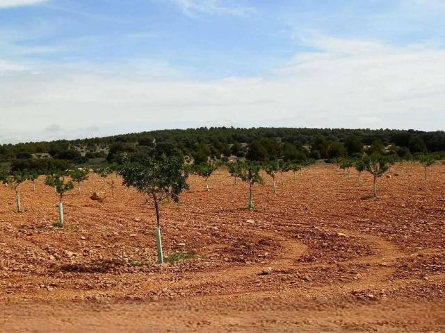 Terreno en venta en Villarrobledo, Castilla-La Mancha