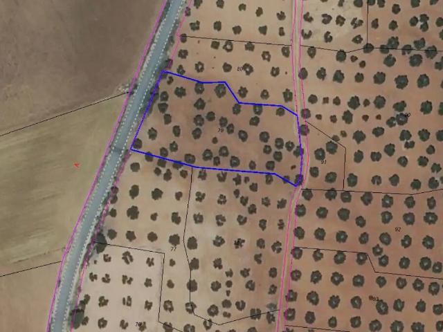 Terreno en venta en Munera, Castilla-La Mancha