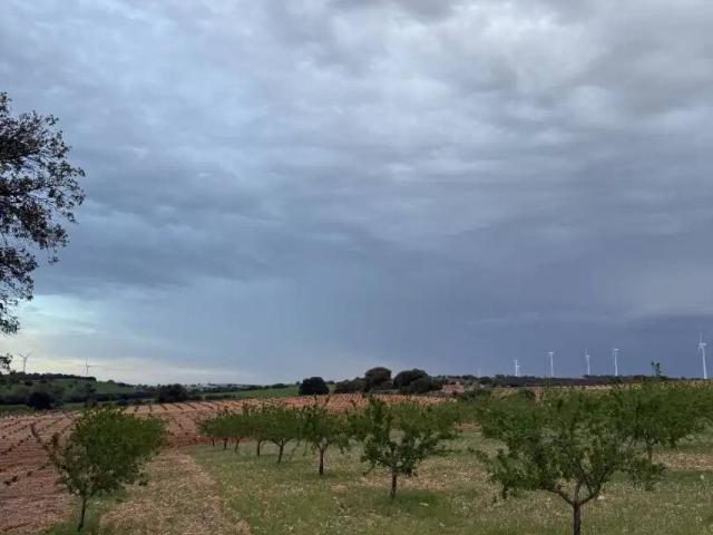 Terreno en venta en Munera, Castilla-La Mancha