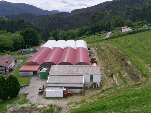 Terreno en venta en Mungia