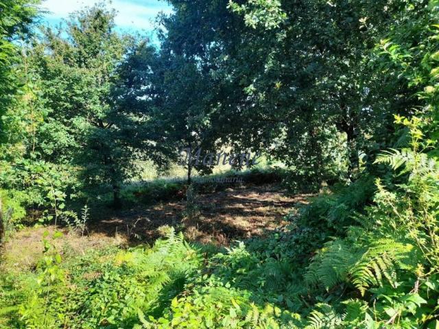 Terreno en venta en Mungia, Guipúzcoa