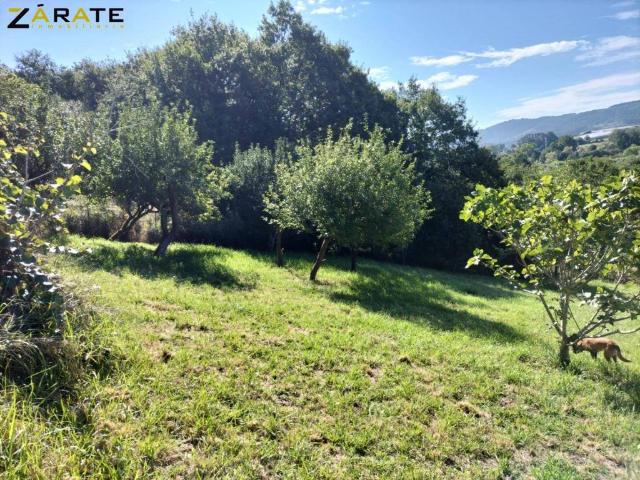 Terreno en venta en Mungia