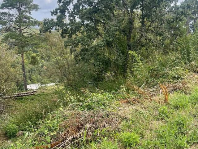 Terreno en venta en Osona, Catalunya