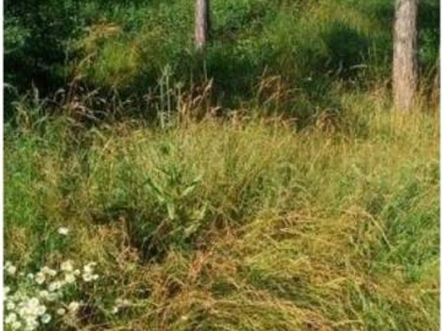 Terreno en venta en Osona, Catalunya