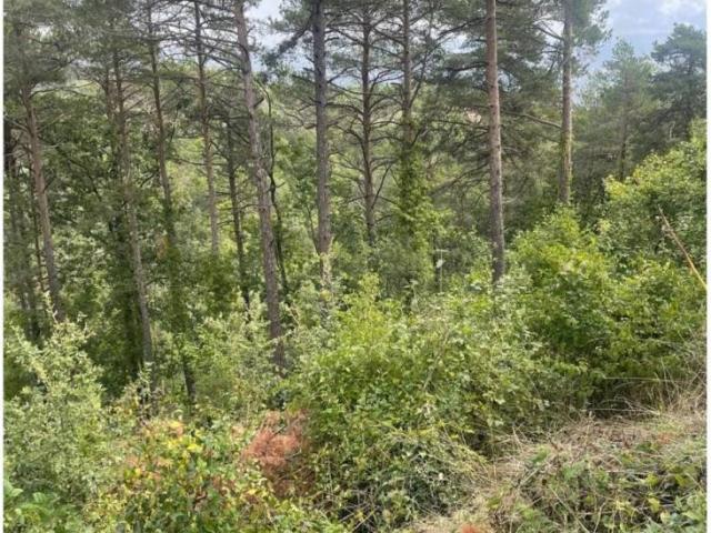 Terreno en venta en Osona, Catalunya