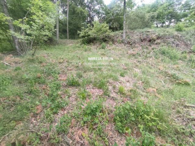 Terreno en venta en Osona, Catalunya