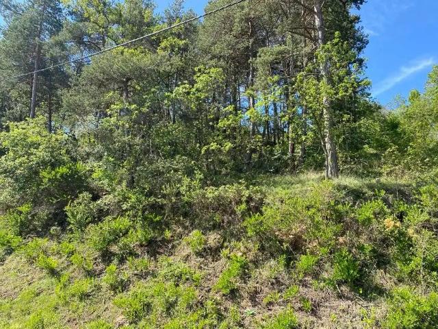 Terreno en venta en Osona, Catalunya