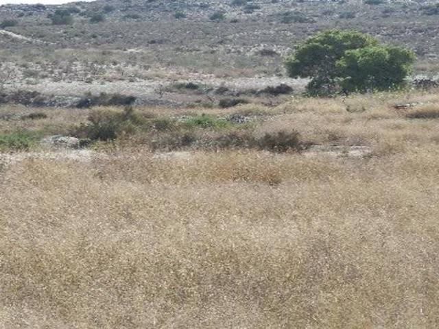 Terreno en venta en San José de la Vega, Área Metropolitana de Murcia