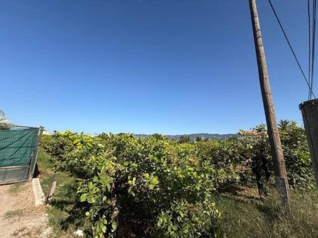 Terreno en venta en Área Metropolitana de Murcia, Murcia