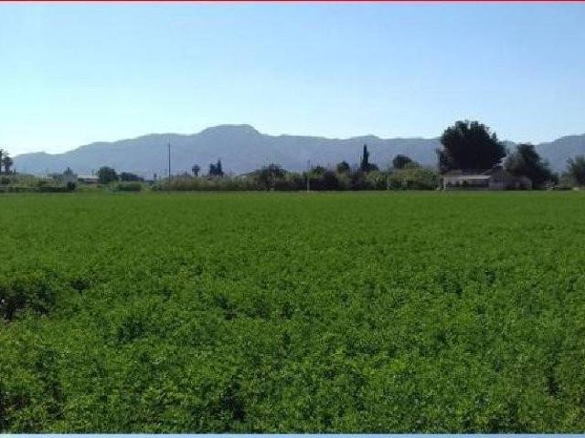 Terreno en venta en Los Dolores, Área Metropolitana de Murcia