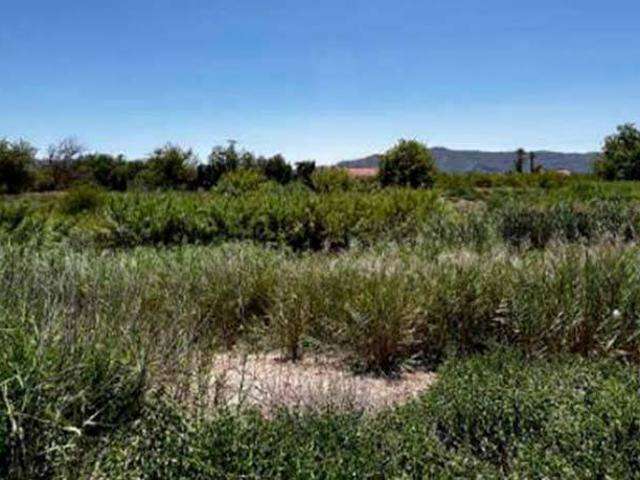 Terreno en venta en Los Dolores, Área Metropolitana de Murcia