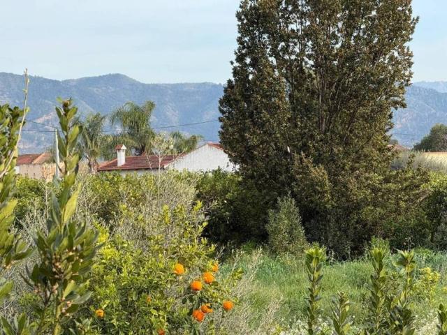 Terreno en venta en Área Metropolitana de Murcia, Murcia