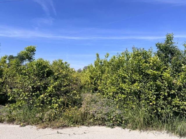 Terreno en venta en Era Alta, Murcia