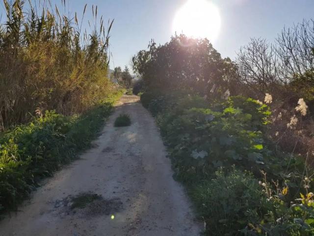 Terreno en venta en Área Metropolitana de Murcia, Murcia