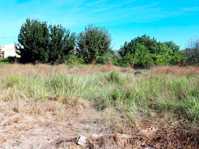 Terreno en venta en Área Metropolitana de Murcia, Murcia