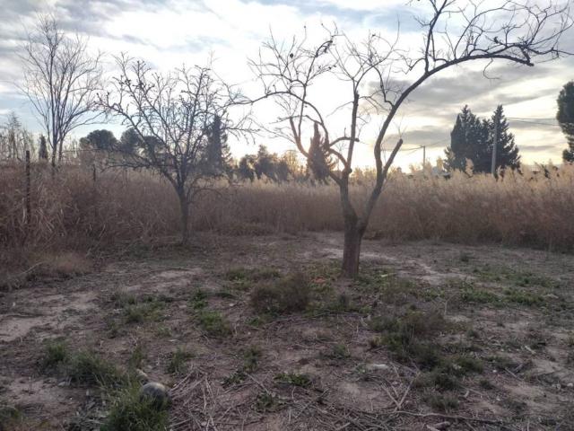 Terreno en venta en Vega Media del Segura, Murcia