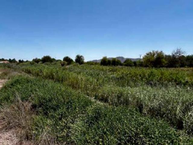 Terreno en venta en Los Dolores, Área Metropolitana de Murcia
