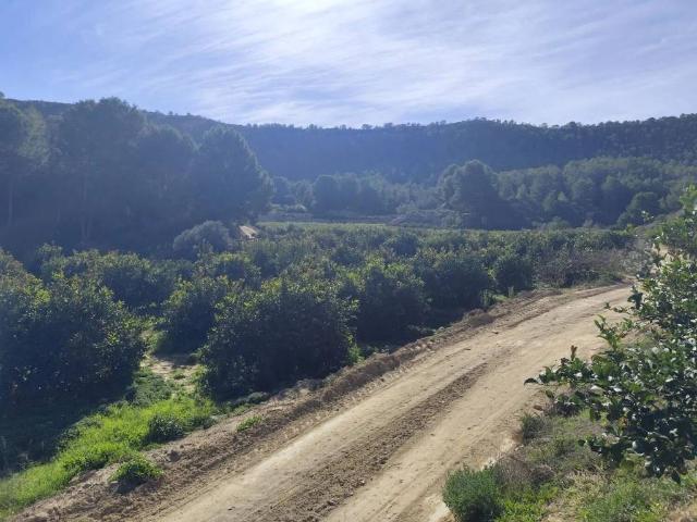 Terreno en venta en Algezares, Área Metropolitana de Murcia