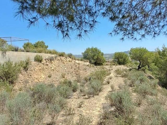 Terreno en venta en Área Metropolitana de Murcia, Murcia