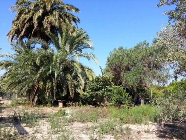 Terreno en venta en Área Metropolitana de Murcia, Murcia