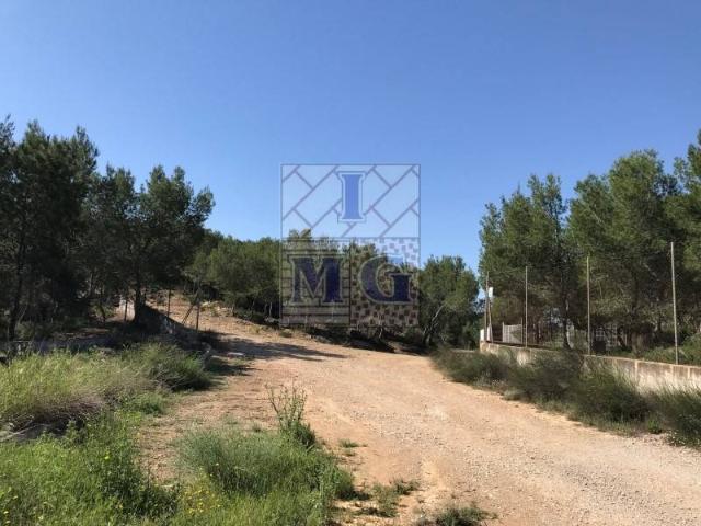 Terreno en venta en Área Metropolitana de Murcia, Murcia