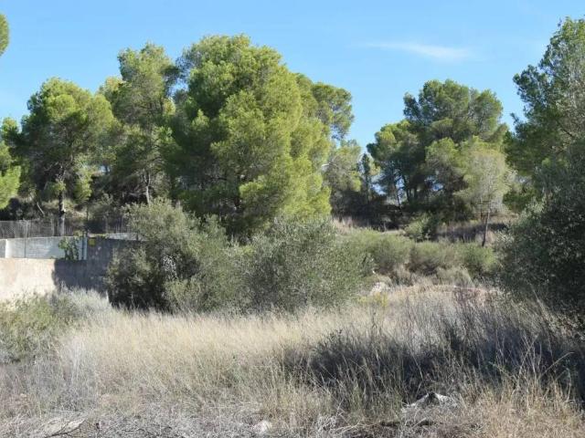 Terreno en venta en Algezares, Área Metropolitana de Murcia