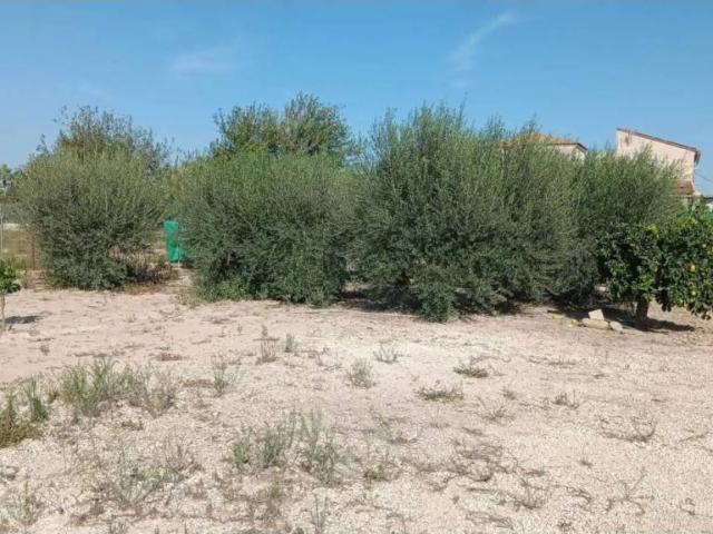 Terreno en venta en Área Metropolitana de Murcia, Murcia