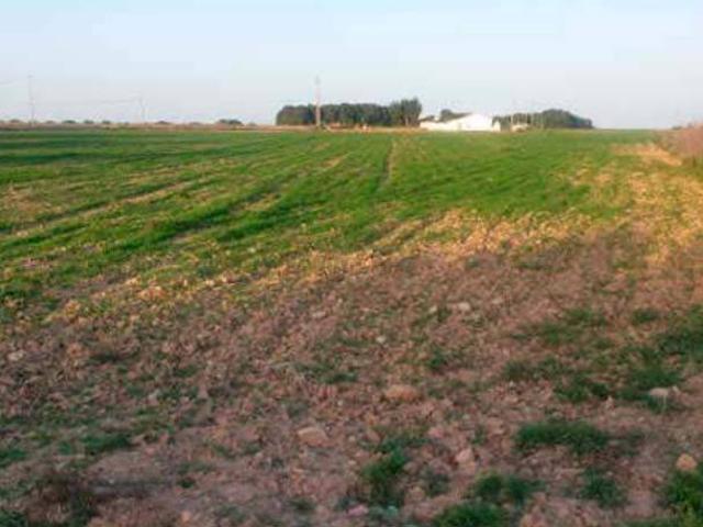 Terreno en venta en Valladolises y Lo Jurado, Campo de Cartagena y Mar Menor