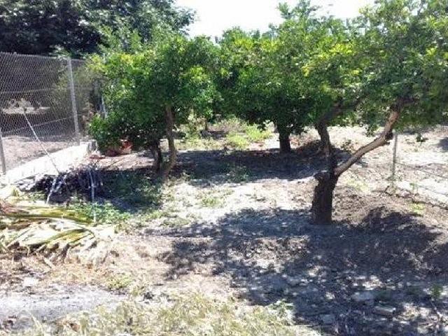 Terreno en venta en Beniaján, Área Metropolitana de Murcia