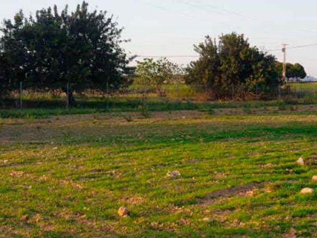 Terreno en venta en Área Metropolitana de Murcia, Murcia