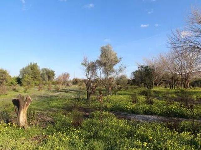 Terreno en venta en Área Metropolitana de Murcia, Murcia