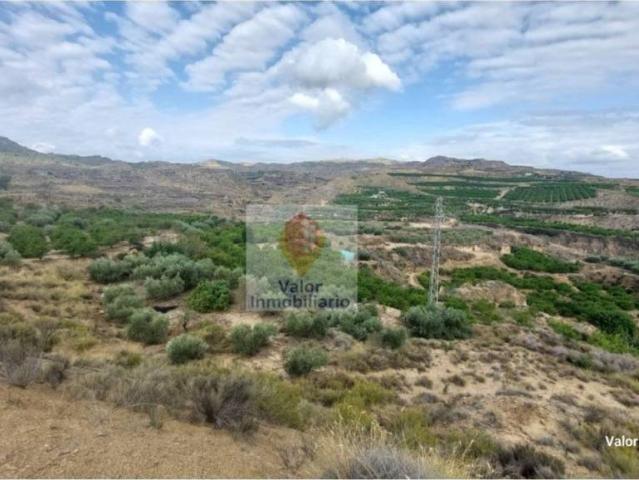 Terreno en venta en Área Metropolitana de Murcia, Murcia