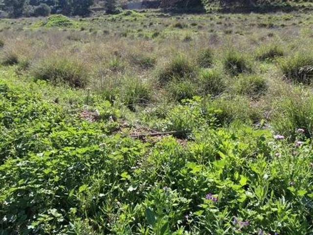 Terreno en venta en Área Metropolitana de Murcia, Murcia