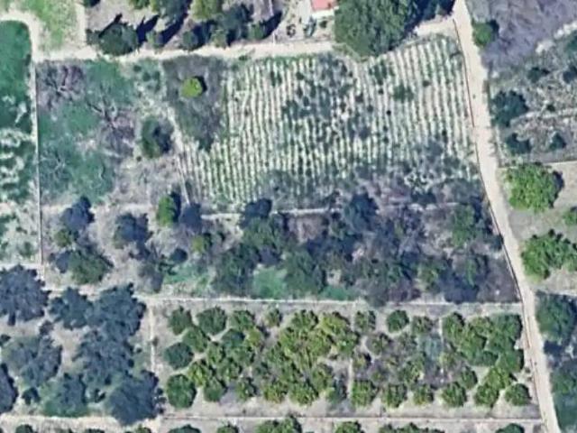 Terreno en venta en Área Metropolitana de Murcia, Murcia