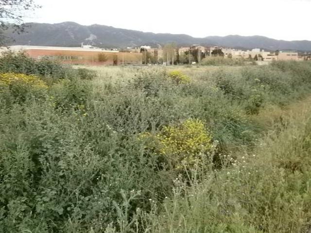 Terreno en venta en Huerta de Santo Angel, Área Metropolitana de Murcia