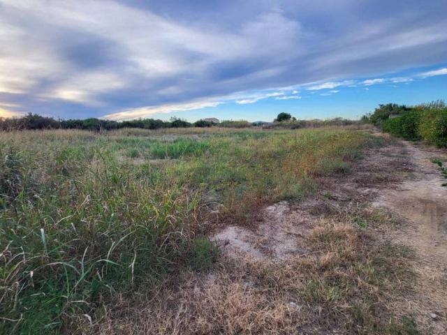 Terreno en venta en Área Metropolitana de Murcia, Murcia