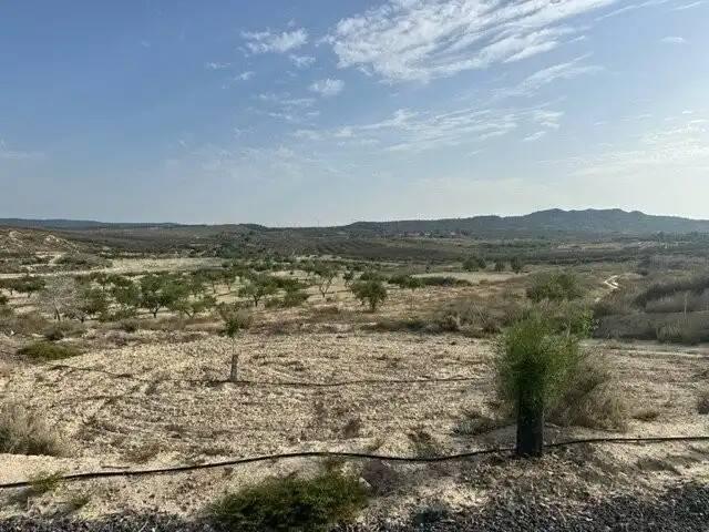 Terreno en venta en Cañadas de San Pedro, Área Metropolitana de Murcia