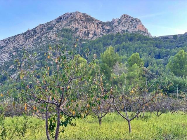 Terreno en venta en Murla