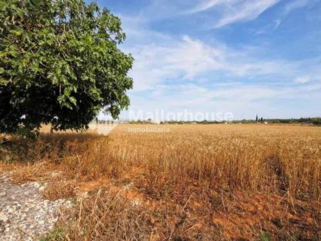 Terreno en venta en Pla de Mallorca, Baleares