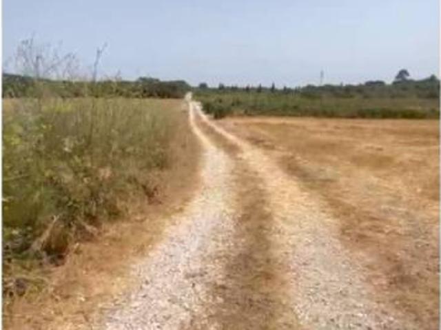 Terreno en venta en Pla de Mallorca, Baleares