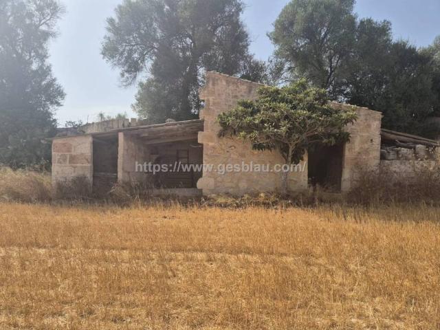 Terreno en venta en Pla de Mallorca, Baleares