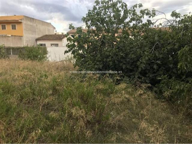 Terreno en venta en Pla de Mallorca, Baleares