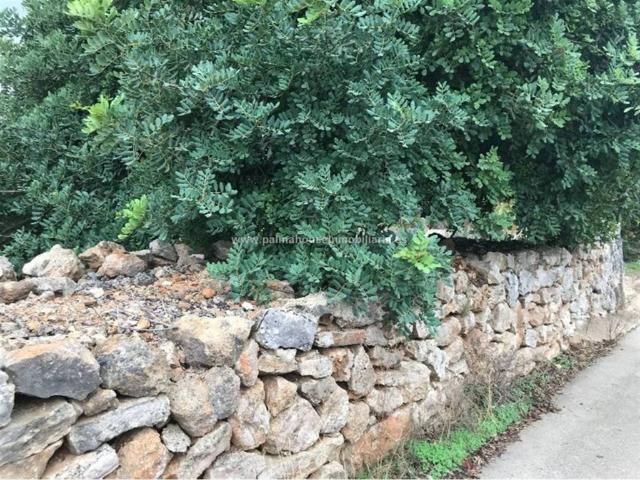 Terreno en venta en Pla de Mallorca, Baleares