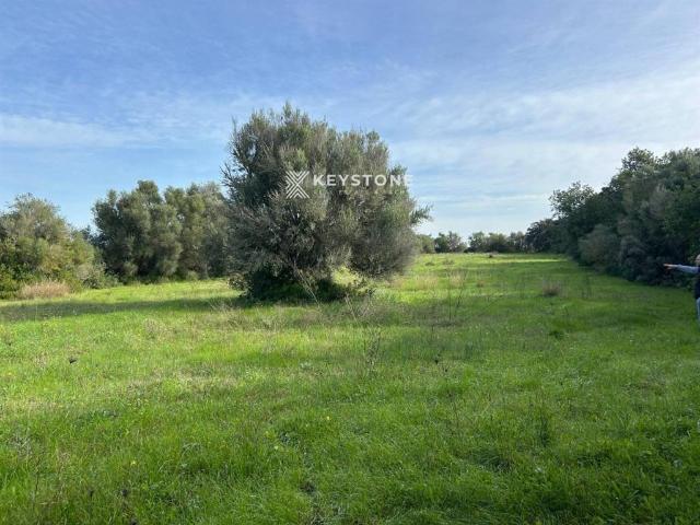 Terreno en venta en Pla de Mallorca, Baleares
