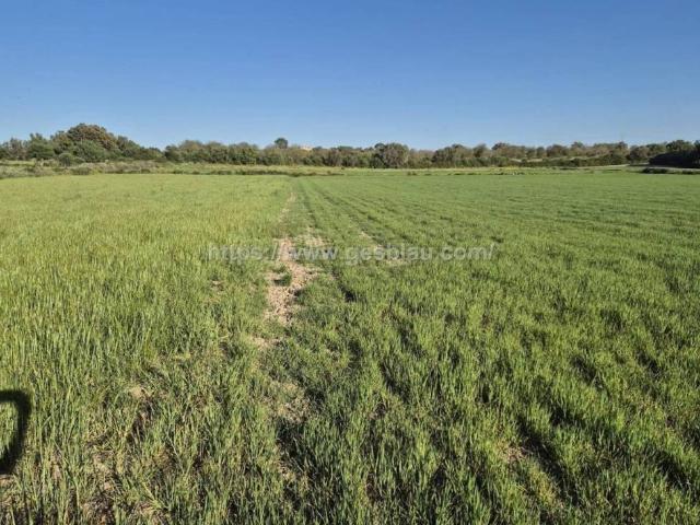 Terreno en venta en Pla de Mallorca, Baleares